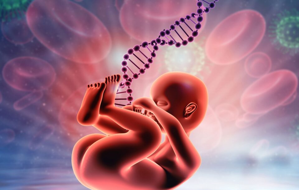 Nov1_2020_GettyImages_1265550605_UnbornBabyDNAUmbilical-scaled