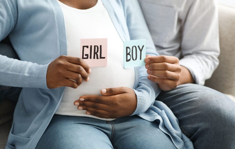 expecting-family-holding-color-cards-for-baby-boy-2022-12-16-08-56-01-utc-scaled