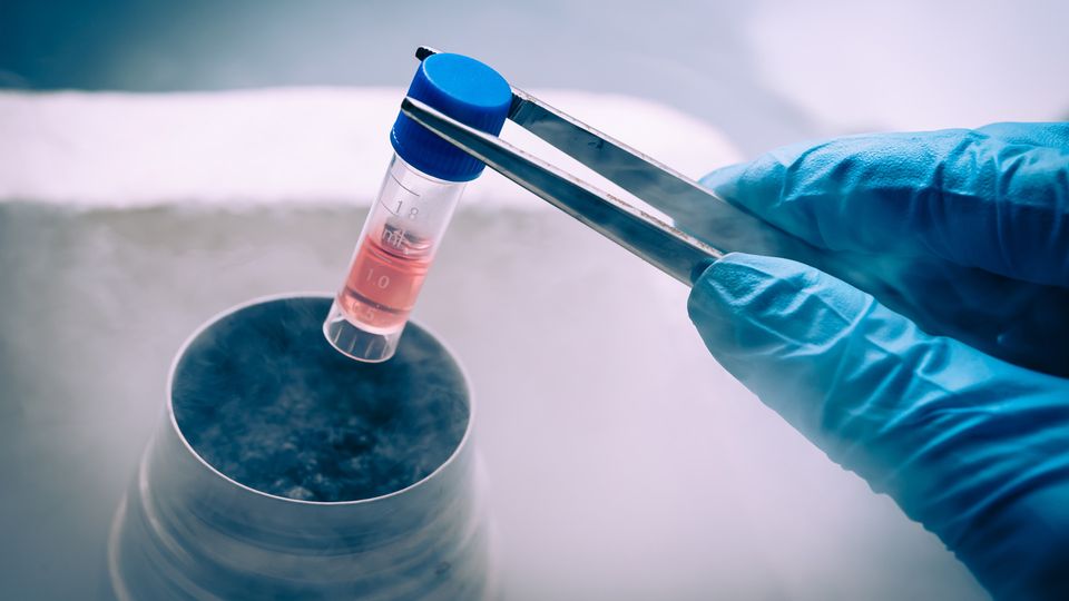 frozen-in-time-examining-the-latest-frontiers-in-cryopreservation-technology-375895-960x540