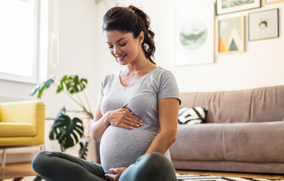 health_in_pregnancy