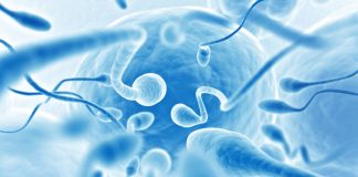 Sperm Donasyonu Fiyatları 2025