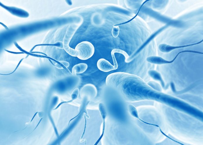 Sperm Donasyonu Fiyatları 2025